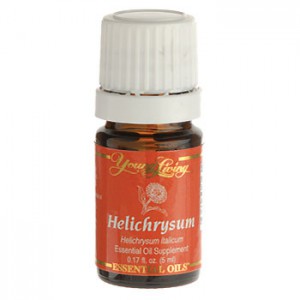 helichrysum