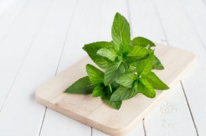 mint manaita